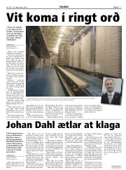 Síða 17