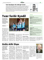 Síða 33