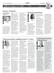 Síða 13