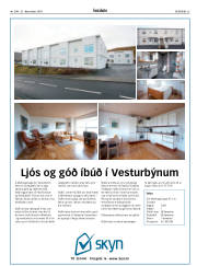 Síða 25