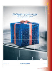 Síða 3