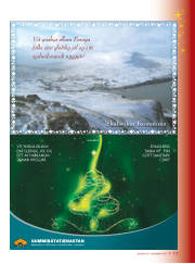 Síða 19