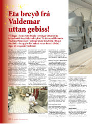 Síða 38