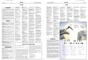 Síða 19