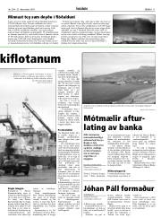 Síða 11
