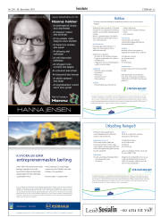 Síða 33