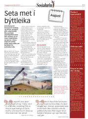 Síða 11