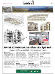 Síða 21