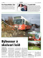 Síða 4