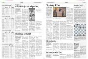 Síða 12