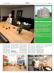 Síða 29