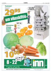 Síða 46