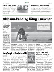 Síða 15
