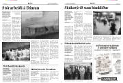 Síða 3
