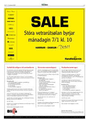 Síða 29