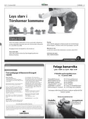 Síða 41