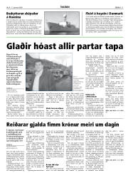 Síða 11