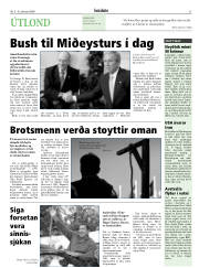 Síða 21