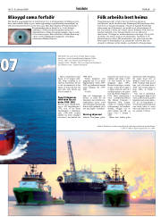 Síða 29