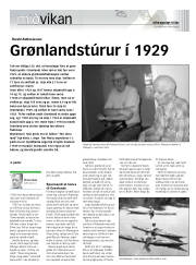 Síða 17