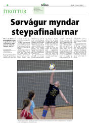 Síða 28