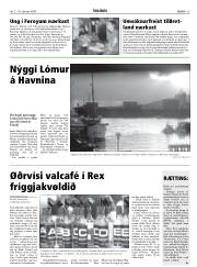Síða 15