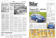 Síða 8