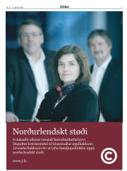 Síða 3