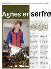 Síða 6
