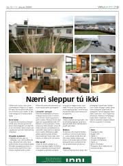 Síða 19