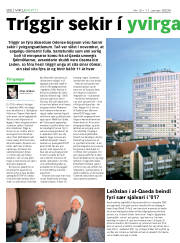 Síða 22