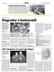 Síða 44