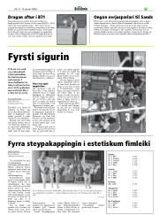Síða 45
