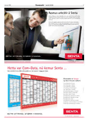 Síða 3