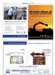Síða 17
