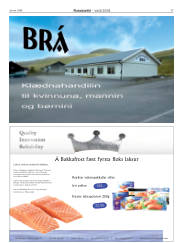 Síða 27