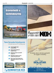 Síða 29