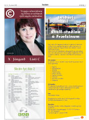 Síða 5