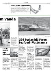 Síða 21