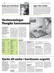 Síða 38