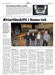 Síða 31