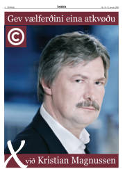 Síða 6