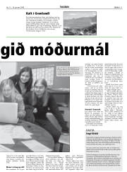 Síða 11