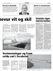 Síða 11