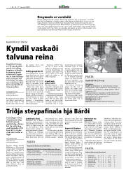 Síða 17