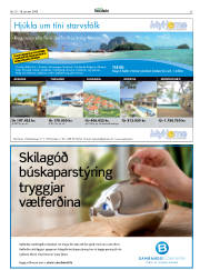 Síða 33
