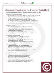 Síða 3