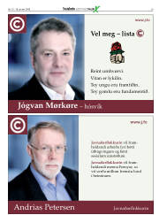 Síða 29