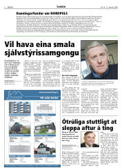 Síða 6