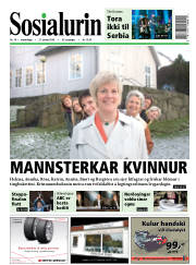 Síða 1